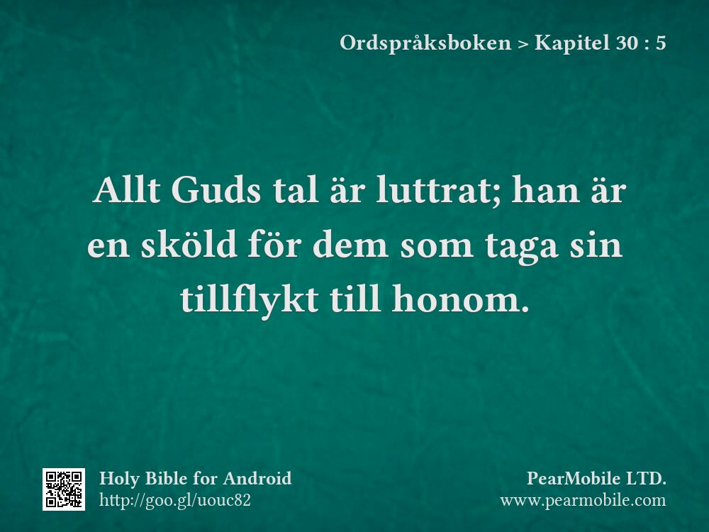 Ordspråksboken, Kapitel 30:5